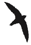           light3