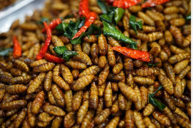           worms1