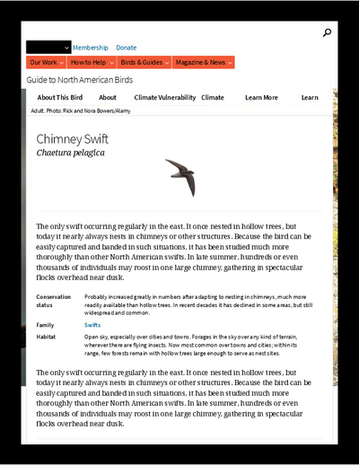 birds/imgs/wikipedia_waxworms