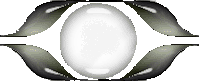 btn_form