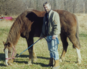 jk2_horse