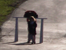 jtfdc_2001