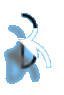           bird1
