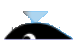           whale